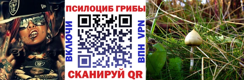 сколько стоит  Котово  Галлюциногенные грибы прущие грибы 
